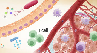 Modulating Gut Microbiota to Enhance Cancer Immunotherapy