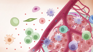 Combating Immune Evasion in Cancer