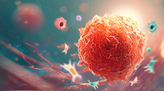 The Tumor Microenvironment in Pancreatic Cancer