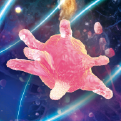Organoid validation