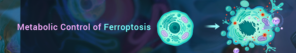 Metabolic Regulation of Ferroptosis: Iron, Lipids and Polyamines