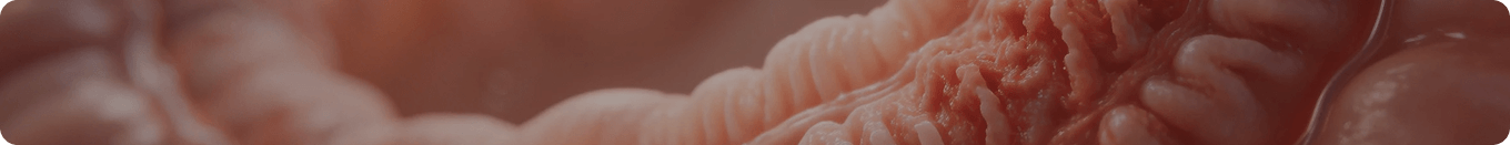 Digestive System Disease