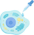 Cell Staining Analysis