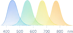Fluorescence Wavelength ranges
