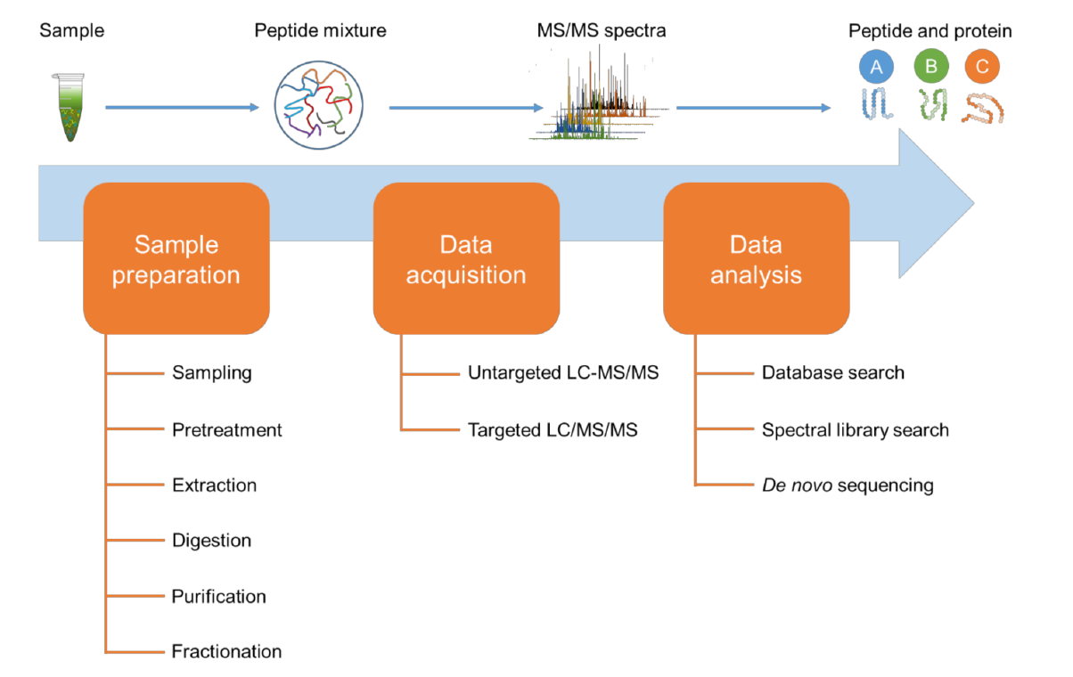 A Pivotal Stage in Proteomic Sample Preparation: Enzymatic Digestion