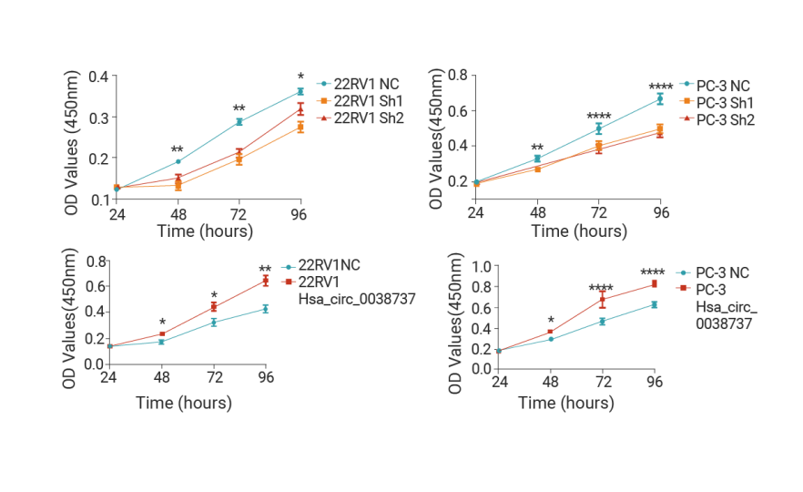 Essential for High-Impact Papers: Present Your CCK-8 Experimental Results in a More Outstanding Way!