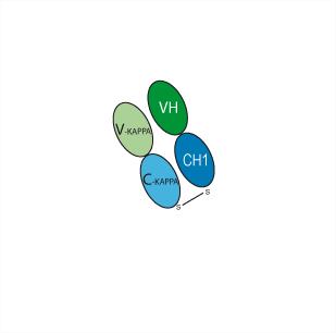 Experimental Validation Results for Idarucizumab