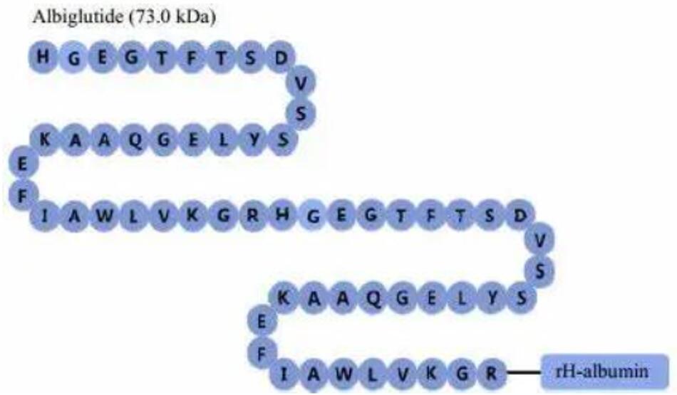 Experimental Validation Results for Albiglutide