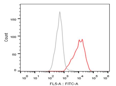 Experimental Validation Results for Patecibart