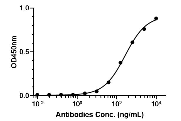 Experimental Validation Results for Anti-Mouse CSF1R/CD115 Antibody (AFS98)