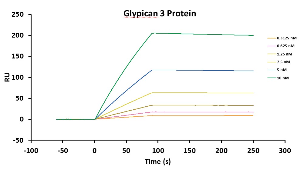 Experimental Validation Results for Codrituzumab