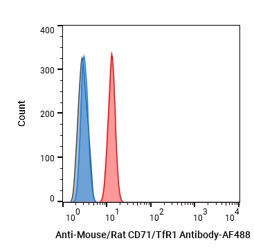 Experimental Validation Results for Anti-Mouse/Rat CD71/TfR1 Antibody (OX-26)