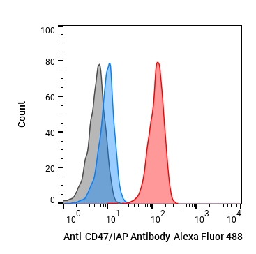 Experimental Validation Results for Anti-Mouse/Rat/Human CD47/IAP Antibody (MIAP410)