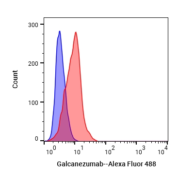Experimental Validation Results for Galcanezumab