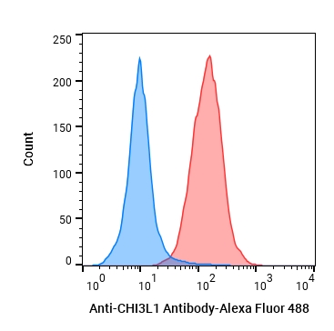 Experimental Validation Results for Anti-CHI3L1 Antibody