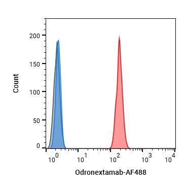 Experimental Validation Results for Odronextamab