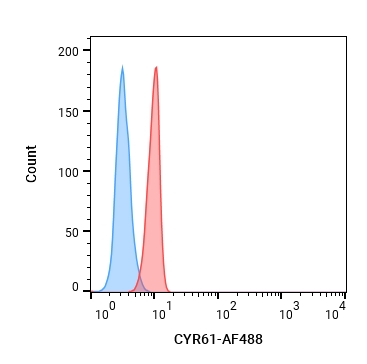 Experimental Validation Results for Anti-CYR61/CCN1 Antibody