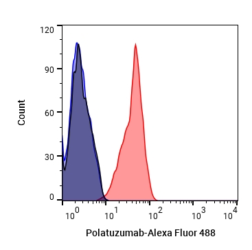 Experimental Validation Results for Polatuzumab