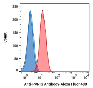 Experimental Validation Results for Anti-PVRIG Antibody (COM701)