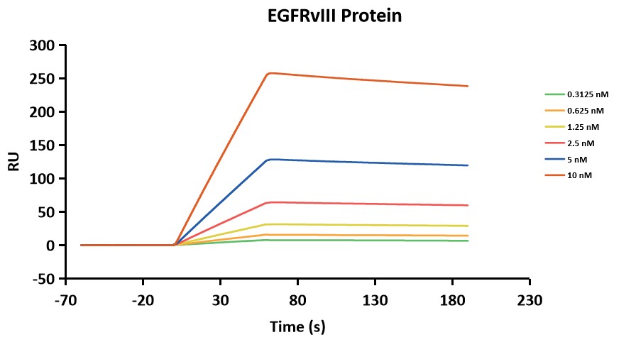Experimental Validation Results for Cetuximab
