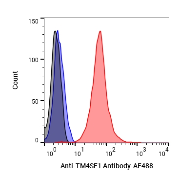 Experimental Validation Results for Anti-TM4SF1 Antibody