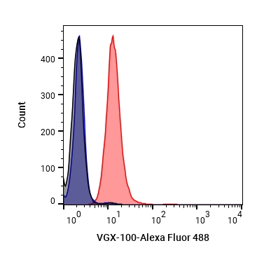 Experimental Validation Results for VGX-100