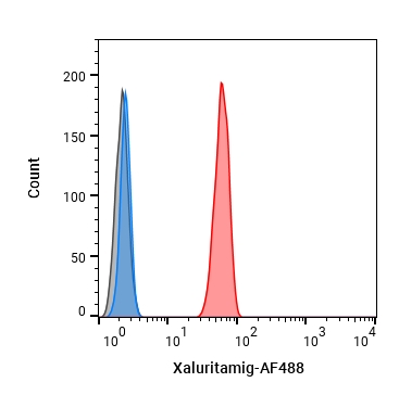 Experimental Validation Results for Xaluritamig