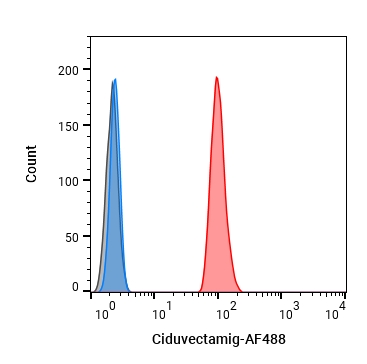 Experimental Validation Results for Ciduvectamig