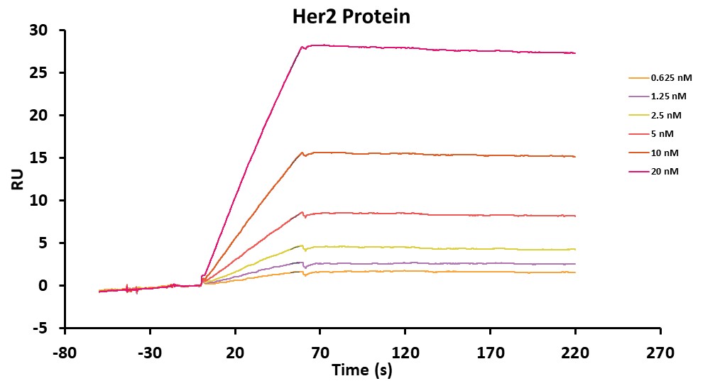 Experimental Validation Results for Anvatabart