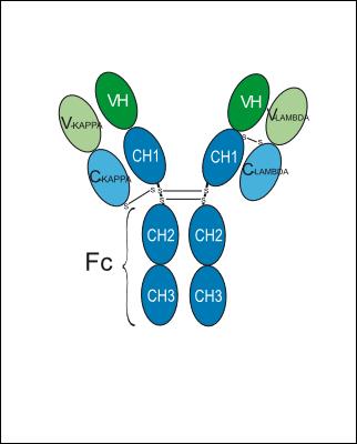 Experimental Validation Results for Rilvegostomig