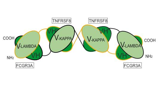 Experimental Validation Results for Acimtamig