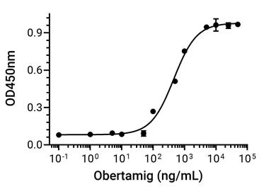 Experimental Validation Results for Obertamig