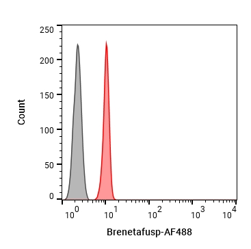 Experimental Validation Results for Brenetafusp