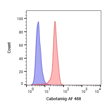 Experimental Validation Results for Cabotamig