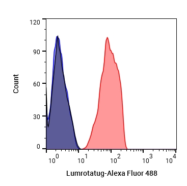 Experimental Validation Results for Lumrotatug