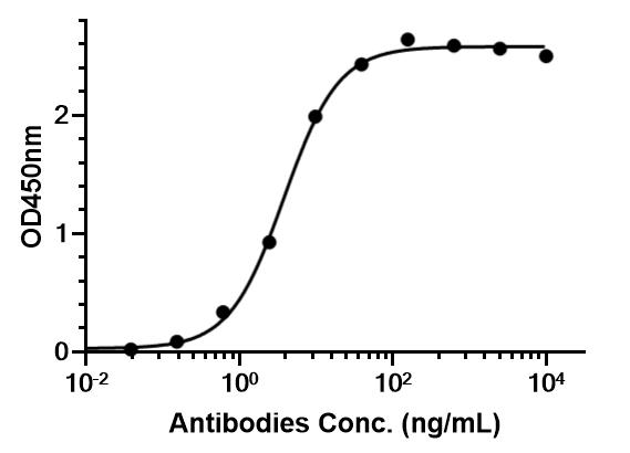 Experimental Validation Results for Anti-Mouse osteopontin/SPP1 Antibody (100D3)