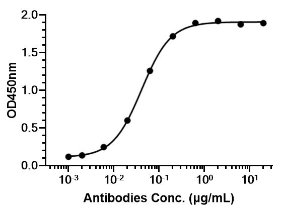 Experimental Validation Results for Anti-Mouse 4-1BB/CD137 Antibody (LOB12.3)