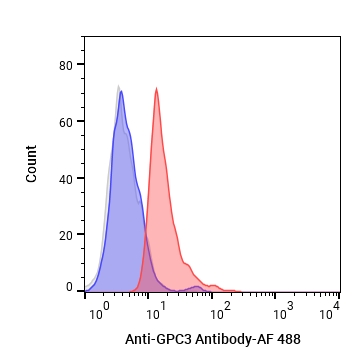 Experimental Validation Results for Anti-GPC3 Antibody (YP7)