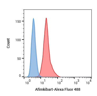Experimental Validation Results for Afimkibart