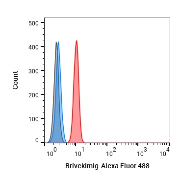 Experimental Validation Results for Brivekimig