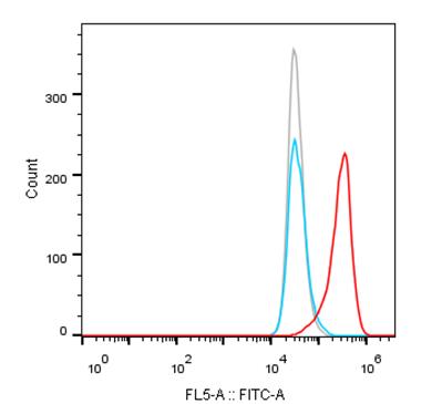 Experimental Validation Results for Cafelkibart