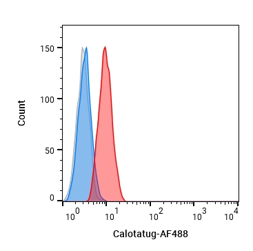 Experimental Validation Results for Calotatug