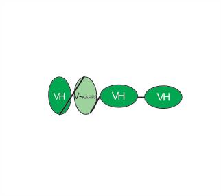 Experimental Validation Results for Gocatamig