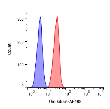Experimental Validation Results for Umikibart