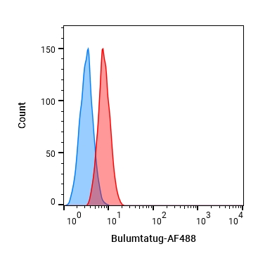 Experimental Validation Results for Bulumtatug