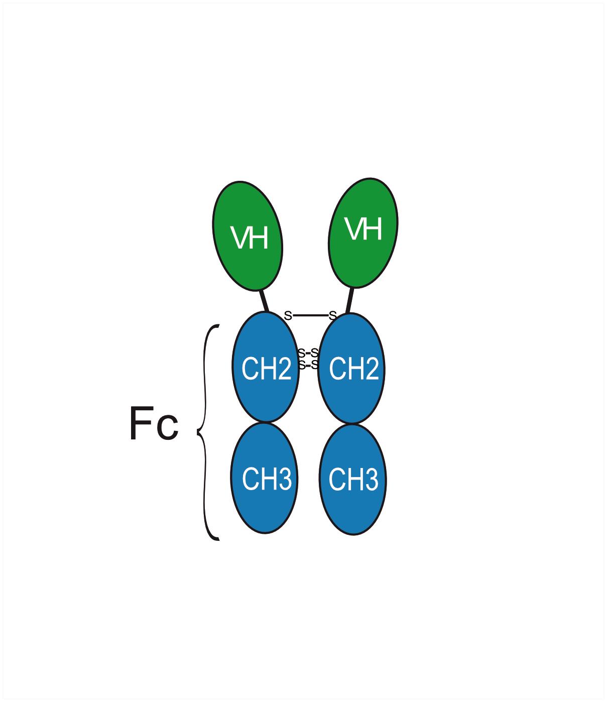 Experimental Validation Results for Gacovetug