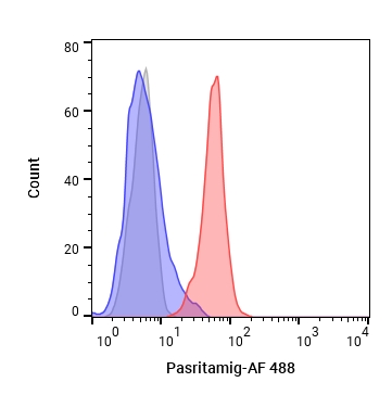 Experimental Validation Results for Pasritamig