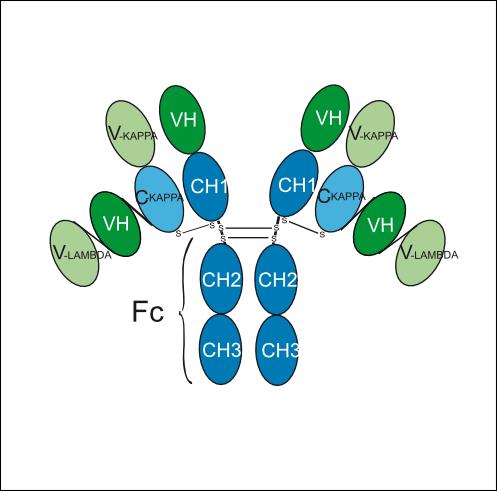 Experimental Validation Results for Trevotamig