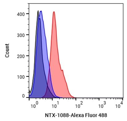 Experimental Validation Results for Donanemab (Mouse IgG2a)