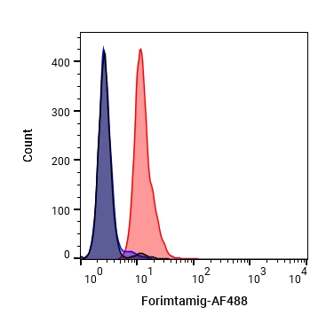 Experimental Validation Results for Forimtamig